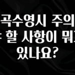 리뷰 좋은 계곡수영시 주의해야 할 사항이 뭐가 있나요? 궁금하신가요?