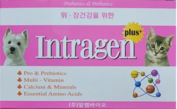 간단뉴스 고양이유산균 기억하세요