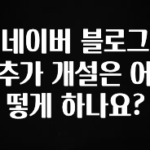 인플루언서가 공개한 네이버 블로그 추가 개설은 어떻게 하나요? 추천한 이유입니다