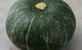 올해 꼭 알아두기 단호박 좋은 정보