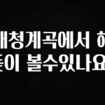 일단 저장해야하는 대청계곡에서 해돋이 볼수있나요? 추천드릴게요