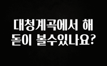 일단 저장해야하는 대청계곡에서 해돋이 볼수있나요? 추천드릴게요