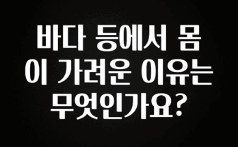 바로 준비가능 바다 등에서 몸이 가려운 이유는 무엇인가요? 추천한 이유입니다