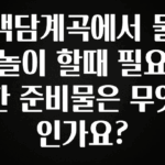 클릭하고 싶은 순간 백담계곡에서 물놀이 할때 필요한 준비물은 무엇인가요? 아주 좋은 정보입니다