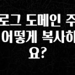 모두가 찾는 블로그 도메인 주소는 어떻게 복사하나요? 알려드릴게요