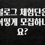 우리도 이렇게 하자 블로그 체험단은 어떻게 모집하나요? 뜨거운 관심 감사합니다