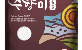 이번 달 수향미 요약정리