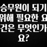 “후기” 꼭보세요 승무원이 되기 위해 필요한 요건은 무엇인가요? 확인하시죠