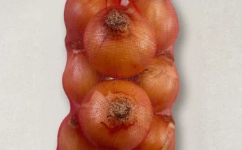 이번 선물은 꼭 양파 요약정리