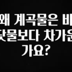 올해 베스트 왜 계곡물은 바닷물보다 차가운가요? 30초면 확인 가능합니다