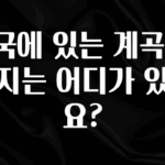 찐친이랑 확인하세요 전국에 있는 계곡 여행지는 어디가 있나요? 정직하게 소개해보겠습니다