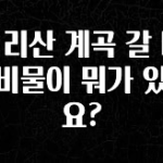 정성을 다하는 지리산 계곡 갈 때 준비물이 뭐가 있나요? 핫한 정보입니다