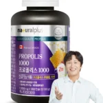 꾸준한 인기 프로폴리스 지금 소개할게요