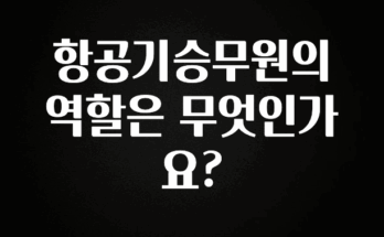 추천드려야할 소식 항공기승무원의 역할은 무엇인가요? 아쉬움이 없습니다
