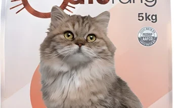 별다섯개 고양이사료 정직하게 소개해보겠습니다