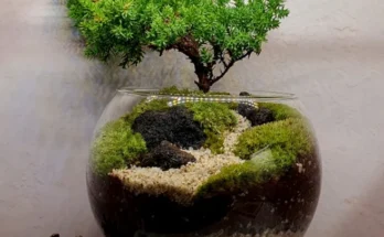 요즘 “다” 여기서 한대 테라리움 보고가세요