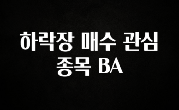 이 “정보” 못참지 하락장 매수 관심 종목 BA 주목하고 계십니다