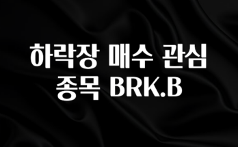 핫 소식 하락장 매수 관심 종목 BRK.B 확인해보세요