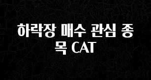 “이거” 절대 놓치지마세요 하락장 매수 관심 종목 CAT 업데이트된 소식입니다