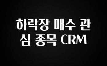 이거 아직도 몰라? 하락장 매수 관심 종목 CRM 궁금하시죠?