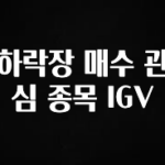 이정보美쳤다 하락장 매수 관심 종목 IGV 실사용 후기