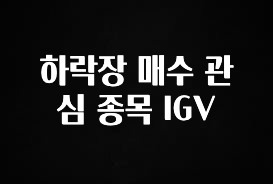 이정보美쳤다 하락장 매수 관심 종목 IGV 실사용 후기