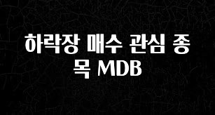 모두가 찾는 하락장 매수 관심 종목 MDB 전합니다