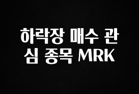 금주의 인기 하락장 매수 관심 종목 MRK 실사용 후기