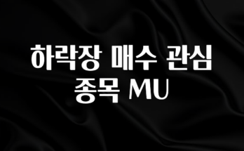 핫 소식 하락장 매수 관심 종목 MU 무조건 확인