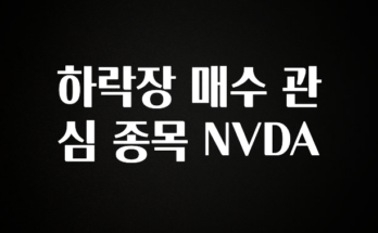 이달의 핫 하락장 매수 관심 종목 NVDA 뜨거운 관심 감사합니다