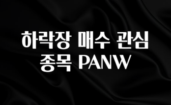 클릭필수 하락장 매수 관심 종목 PANW 클릭해보세요