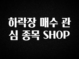 (2025 업데이트) 하락장 매수 관심 종목 SHOP 바로 클릭
