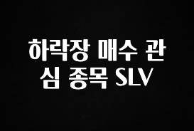 추가소식 하락장 매수 관심 종목 SLV 추천한 이유입니다