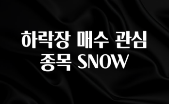 꾸준한 인기 하락장 매수 관심 종목 SNOW 지금 소개할게요