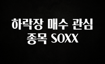 (2025 업데이트) 하락장 매수 관심 종목 SOXX 실간 리뷰