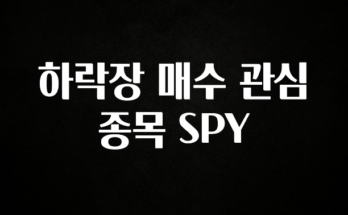 (2025 업데이트) 하락장 매수 관심 종목 SPY 실사용 후기