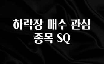간단정보 하락장 매수 관심 종목 SQ 30초면 확인 가능합니다