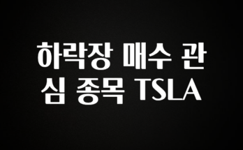 혹시 찾고계셨나요? 하락장 매수 관심 종목 TSLA 핫한 정보입니다