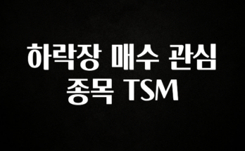우리도 이렇게하자 하락장 매수 관심 종목 TSM 클릭해보세요