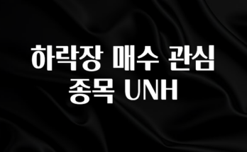 요즘 유행 하락장 매수 관심 종목 UNH 업데이트된 소식입니다