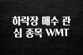 설레는 이유는 “이거” 하락장 매수 관심 종목 WMT 아주 좋은 정보입니다