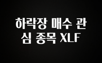 우리도 이렇게 하자 하락장 매수 관심 종목 XLF 실간 리뷰