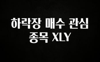 좋은 정보 하락장 매수 관심 종목 XLY 좋은 정보